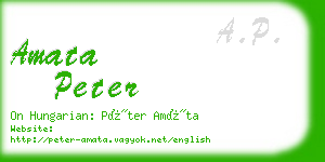 amata peter business card